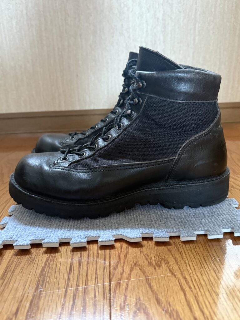 Why I bought Danner Light 