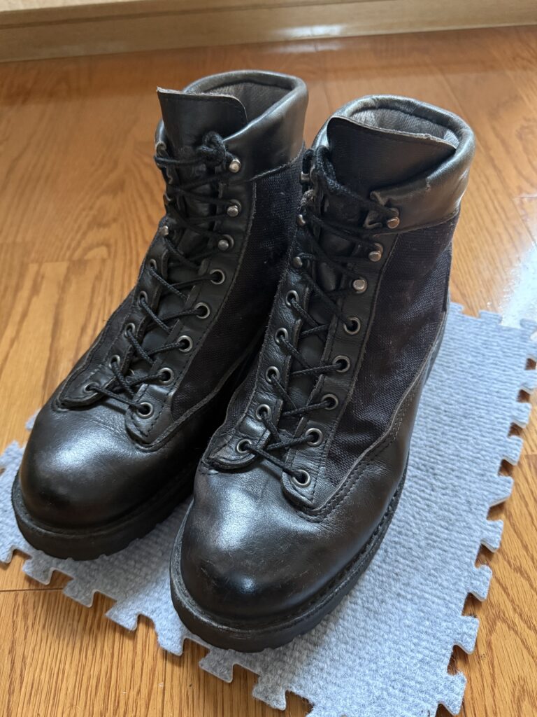 What are the Danner Light?
