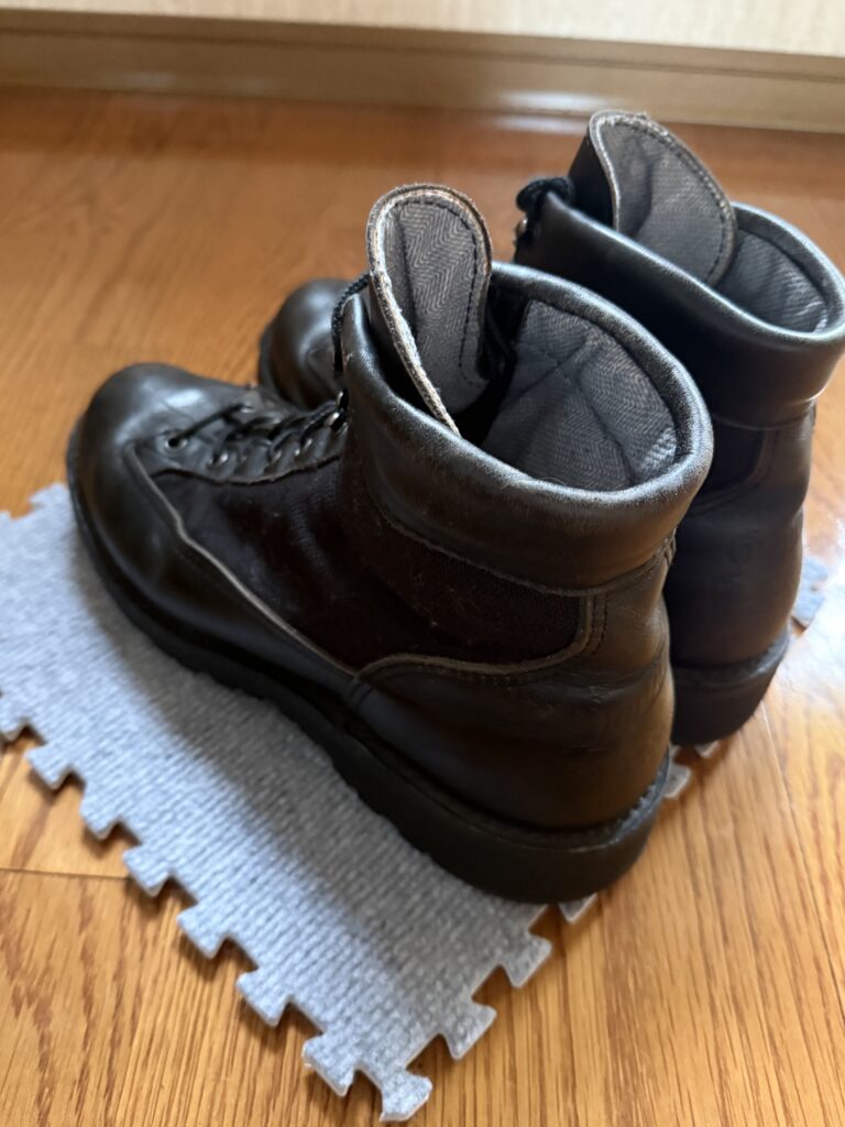 What are the Danner Light?