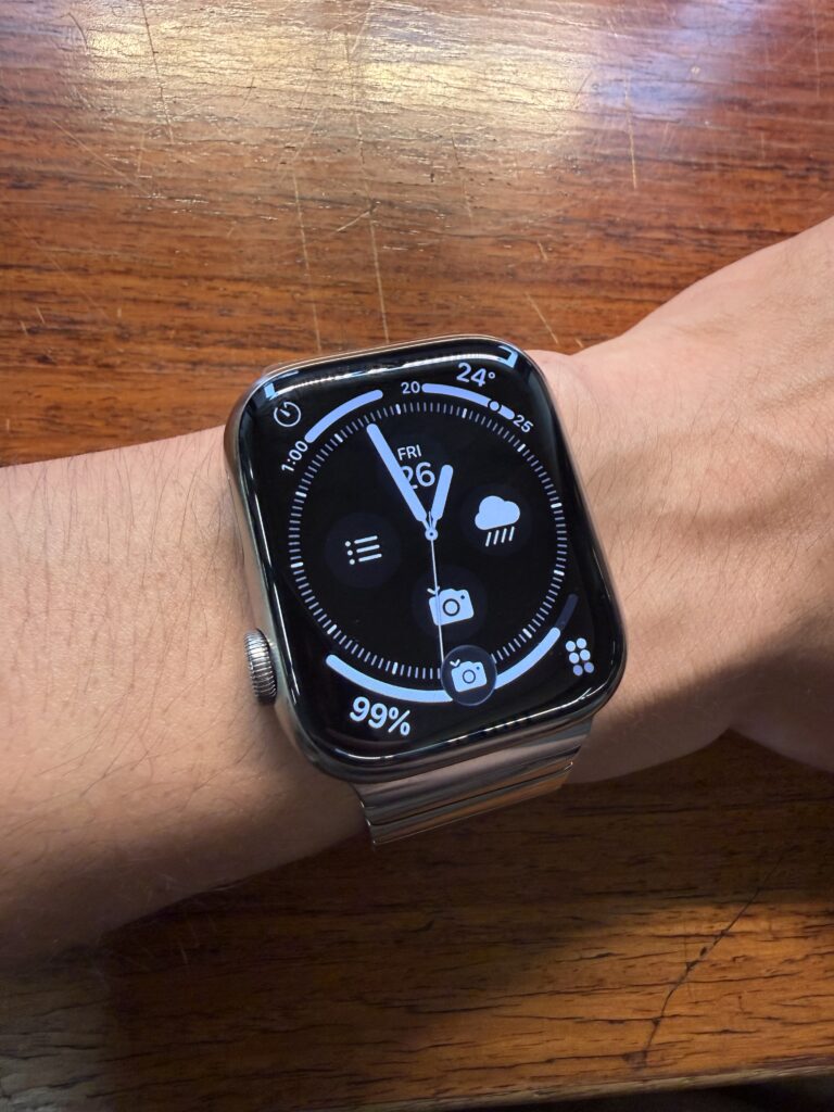 Apple Watch Series 7 Titanium & Link Bracelet