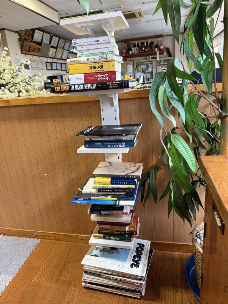 Yamazen Slim Book Tower