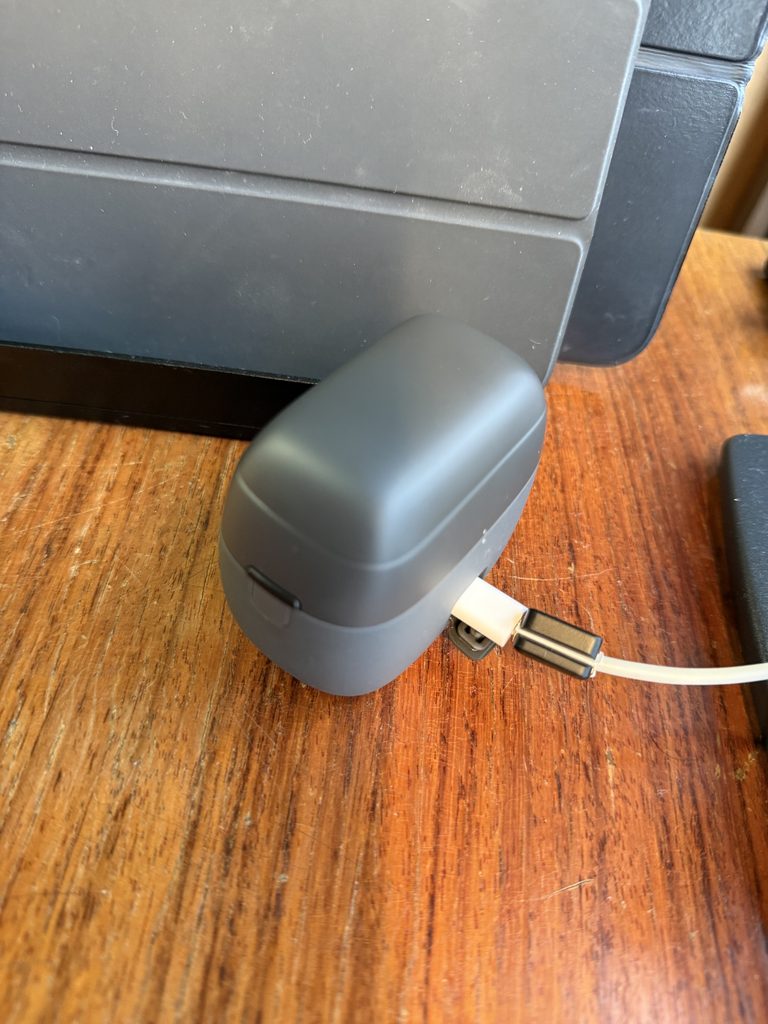 Panasonic LAMDASH PALM IN charging via USB Type-C